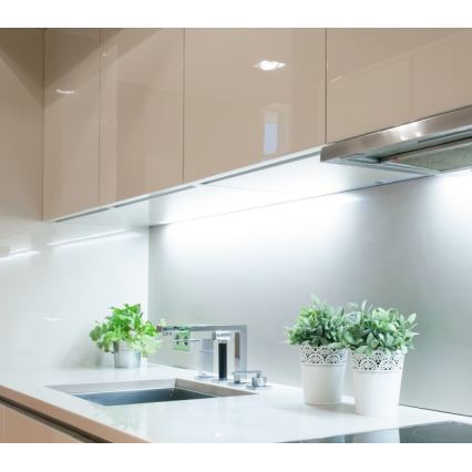 LED-Streifen TRAMO LED/500W/12V 50 m 6500 K