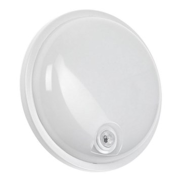 LED-Technikleuchte mit PIR-Sensor LED/20W/230V IP54