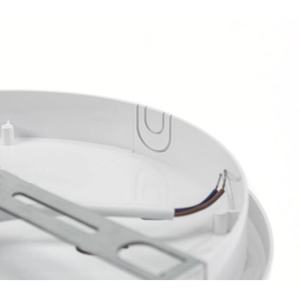 LED-Technikleuchte mit PIR-Sensor LED/20W/230V IP54