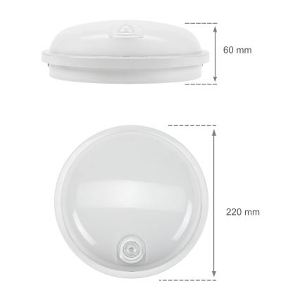 LED-Technikleuchte mit PIR-Sensor LED/20W/230V IP54