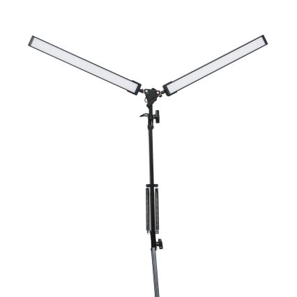 LED-Tischleuchte mit Klemme 2xLED/10W/230V 2800-6800K