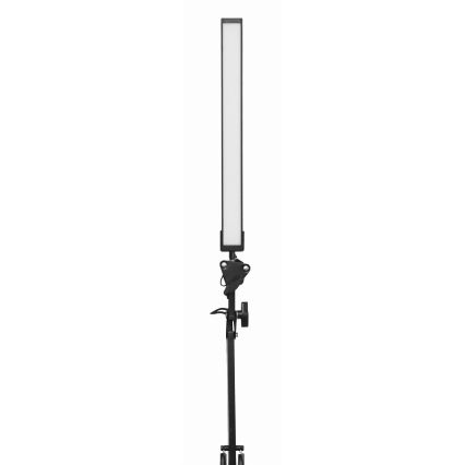 LED-Tischleuchte mit Klemme LED/10W/230V 2800-6800K