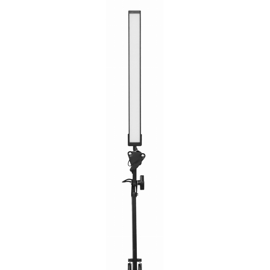 LED-Tischleuchte mit Klemme LED/10W/230V 2800-6800K