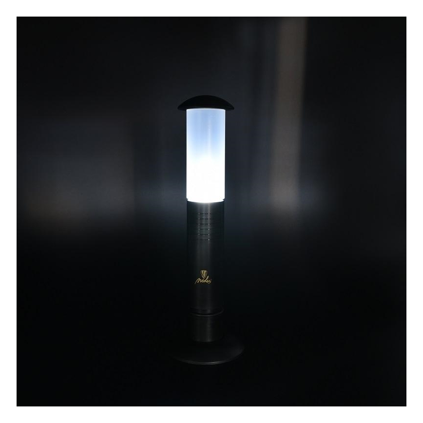 LED Tragbare Lampe 2xLED/1xD IPX4