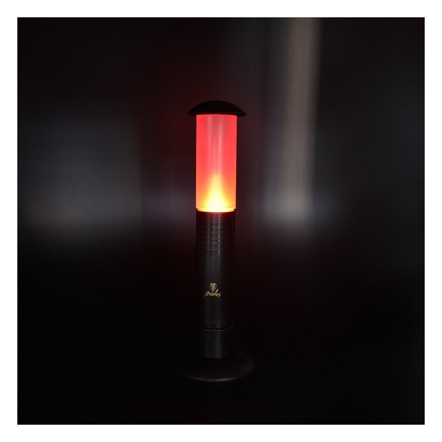 LED Tragbare Lampe 2xLED/1xD IPX4