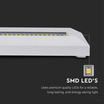 LED Treppenleuchte für Außen LED/3W/230V IP65 4000K weiß