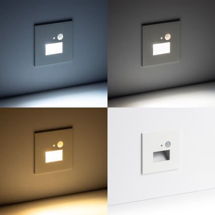 LED-Treppenlicht mit Bewegungssensor LED/1,5W/230V 3000K/4000K/6500K