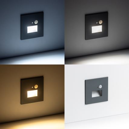 LED-Treppenlicht mit Bewegungssensor LED/1,5W/230V 3000K/4000K/6500K