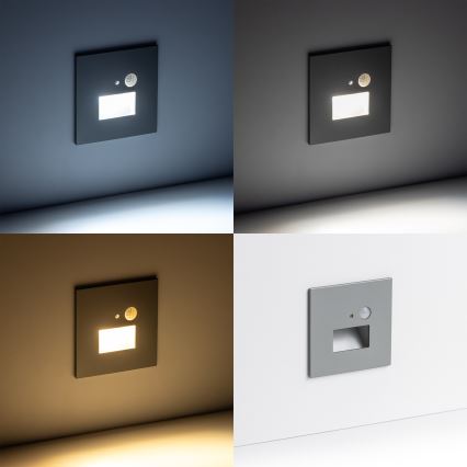 LED-Treppenlicht mit Bewegungssensor LED/1,5W/230V 3000K/4000K/6500K