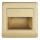 LED Treppenlicht STEP LIGHT NET LED/1,5W/30V gold