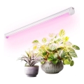 LED Unterbauleuchte für Pflanzenzucht GROWLY LED/9W/230V weiß