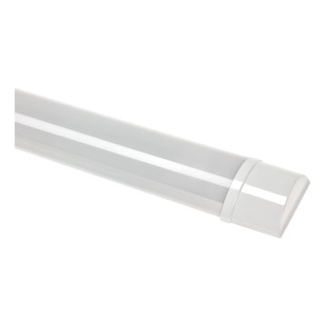 LED Unterbauleuchte VIGA LED/14W/230V 3000K weiß