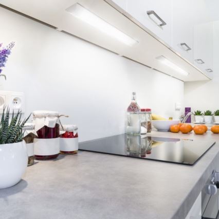 LED-Unterbauleuchte VIGA LED/20W/230V 4000K weiß