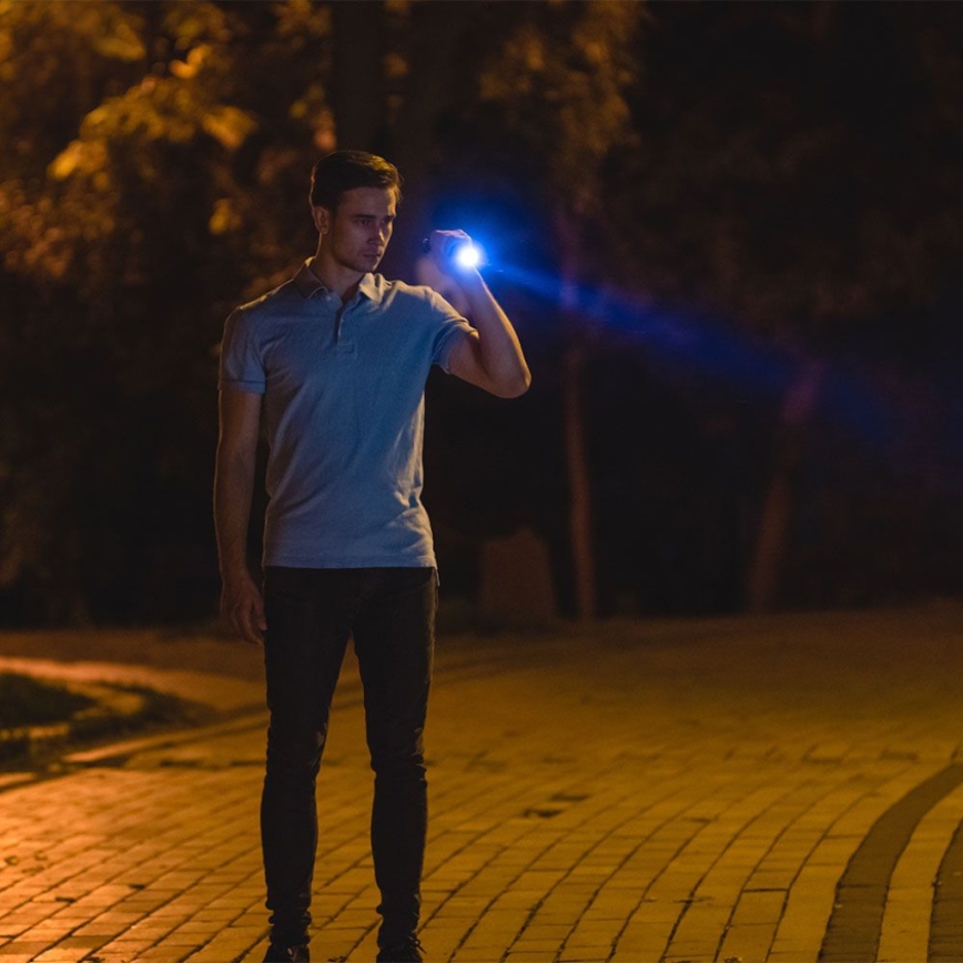 LED Akku-Taschenlampe USB LED/10W/5V IP54 2000 mAh 1000 lm