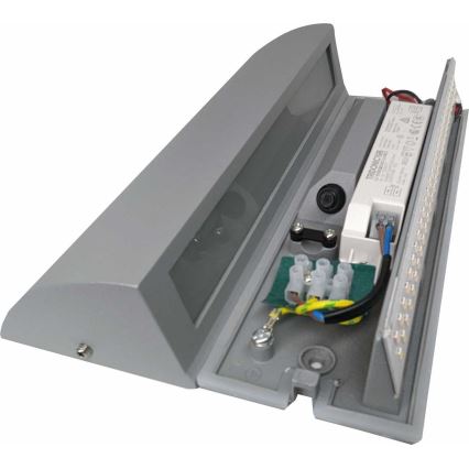 LED Wandbeleuchtung LED/10W/230V IP54