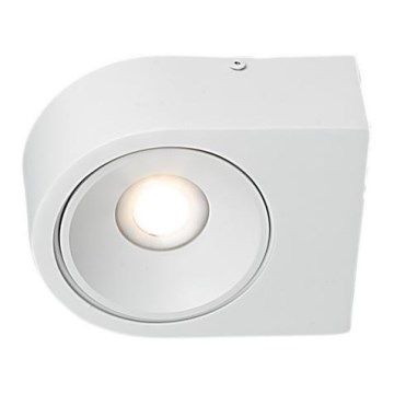 LED Wandbeleuchtung LUCE LED/10W/230V