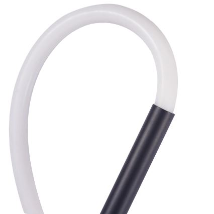 LED-Wandleuchte EMMA LED/19W/230V schwarz