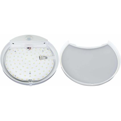 LED-Wandleuchte für Außenbereiche mit Sensor HIBIS LED/15W/230V IP44