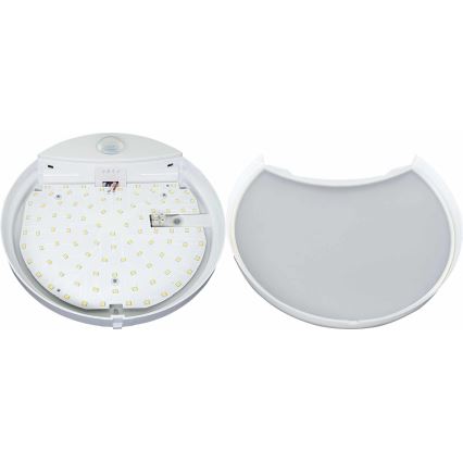 LED-Wandleuchte für Außenbereiche mit Sensor HIBIS LED/15W/230V IP44