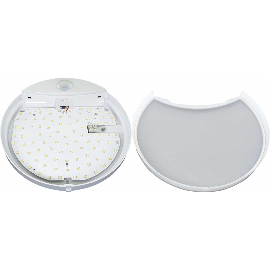 LED-Wandleuchte für Außenbereiche mit Sensor HIBIS LED/15W/230V IP44