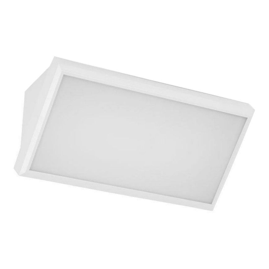 LED-Wandleuchte für den Außenbereich LED/20W/230V 4000K IP65 weiß