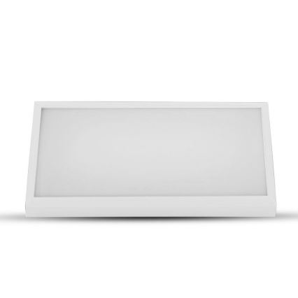 LED-Wandleuchte für den Außenbereich LED/20W/230V 6400K IP65 weiß