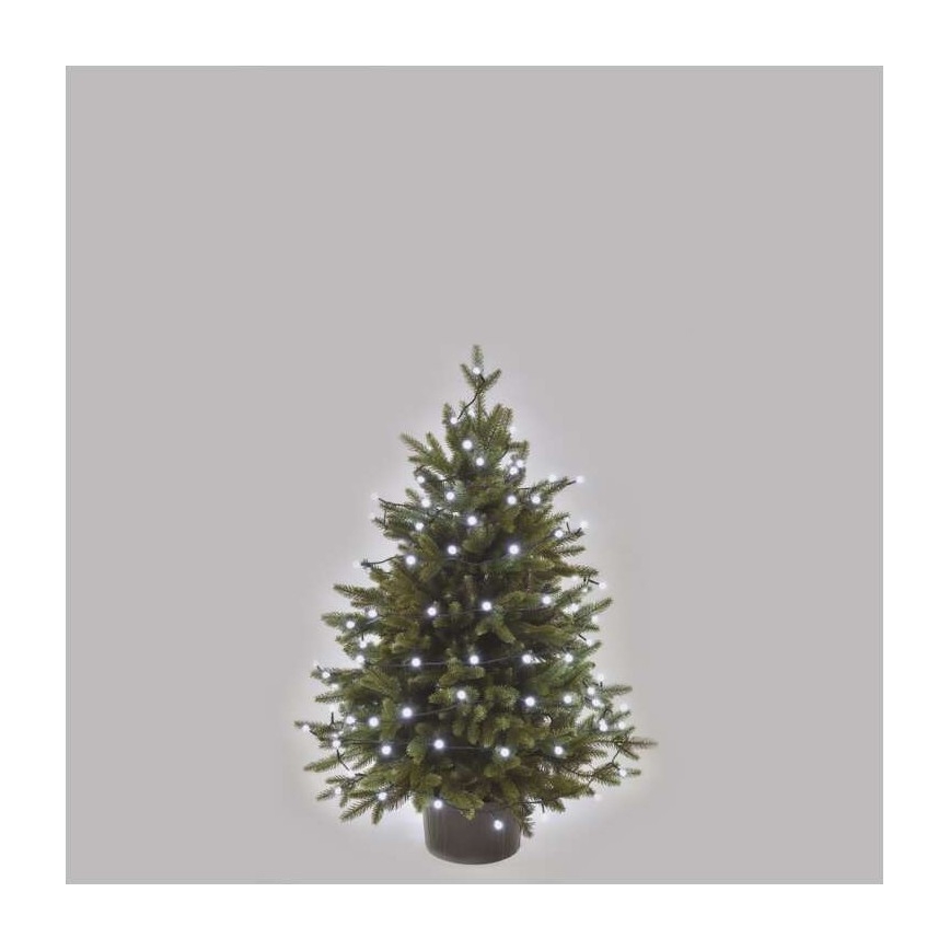 LED Weihnachts-Außen-Lichterkette 80×LED/13 m IP44 kaltweiß