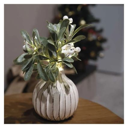 LED-Weihnachtsdekoration 14xLED/2xAA