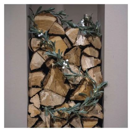 LED Weihnachtsdekoration 25xLED/3xAA