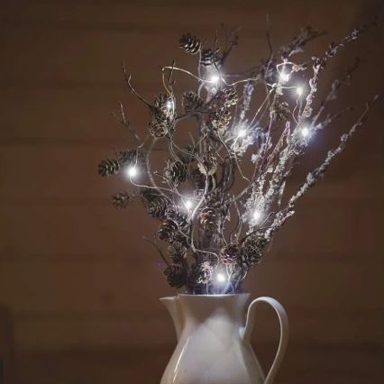 LED Weihnachtskette 20xLED/2xAA 2,4m kaltweiß