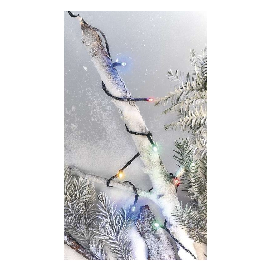 LED Weihnachtskette 50xLED/4m multicolor