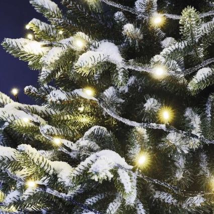 LED-Weihnachtslichterkette für den Außenbereich 100xLED/10m IP44 warmweiβ