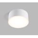 LED2 - LED-Deckenleuchte BUTTON LED/17W/230V weiß