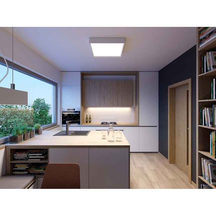 LED2 - LED-Deckenleuchte MILO LED/30W/230V weiß 3000/4000K