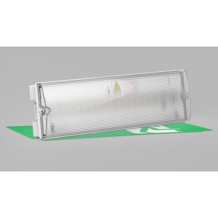 LED2 - LED-Notleuchte SAFE ON LED/3W/3,6V 6000K IP65