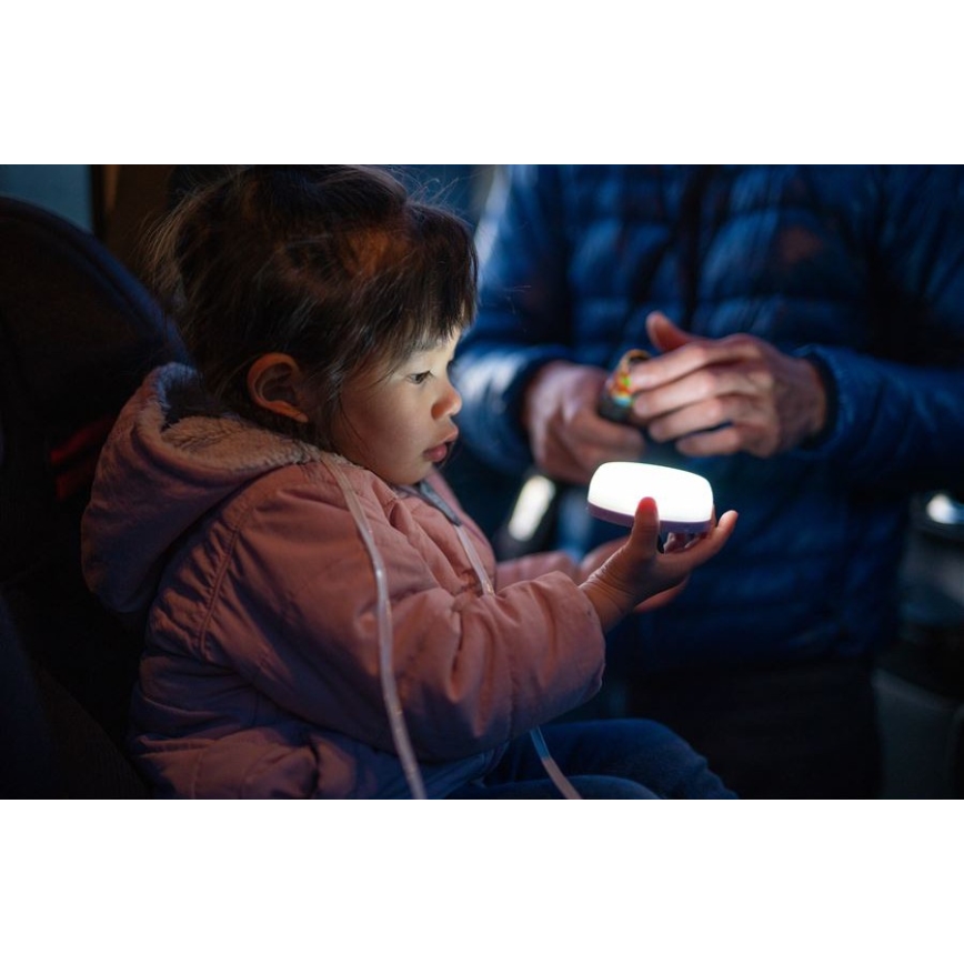 Ledlenser KIDCAMP6 DINO - dimmbare tragbare LED-Leuchte LED/3xAAA IP44 grün