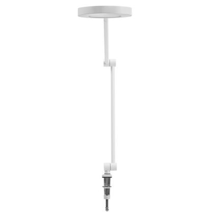 Ledvance - Dimmbare LED-Klemmlampe SUN@HOME LED/15W/230V 2200-5000K CRI 95 Wi-Fi