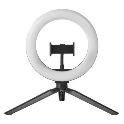Ledvance - Dimmbare LED-Tischleuchte mit Gestell und Halterung für Vlogging LED/5,5W/USB 3000/4000/6500K