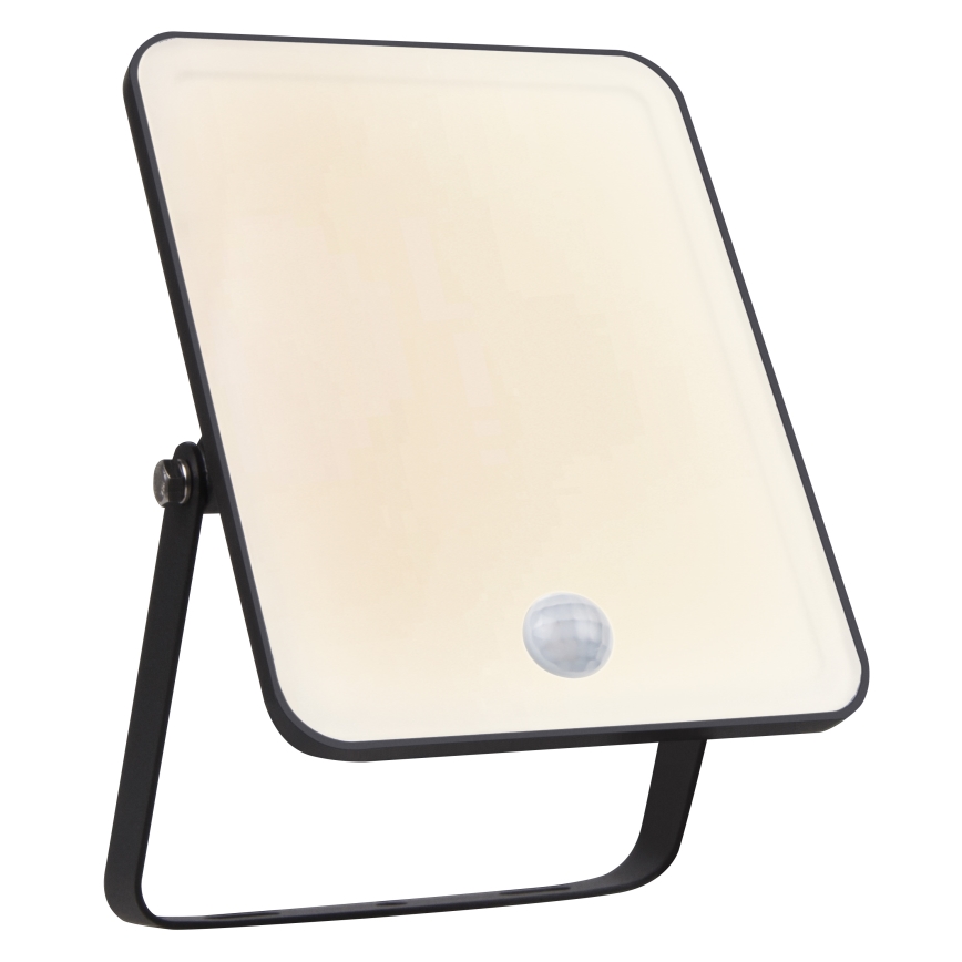 Ledvance - LED-Außen-Wandfluter mit Bewegungs- und Dämmerungssensor LED/30W/230V IP65