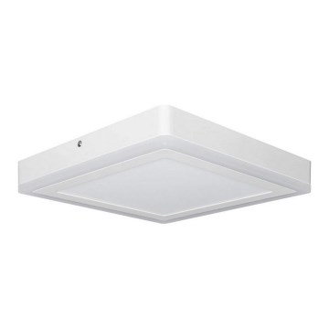 Ledvance - LED-Deckenleuchte SQUARE LED/18W/230V