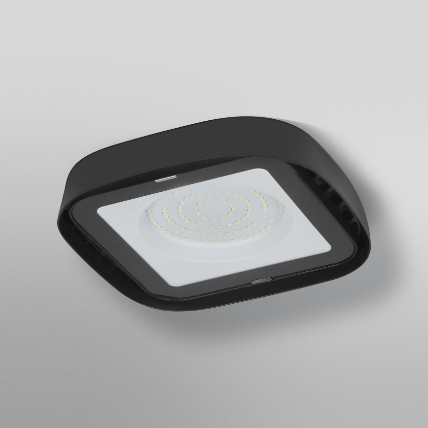 Ledvance - LED-Hochleistungs-Deckenleuchte HIGHBAY LED/80W/230V IP65 6500K