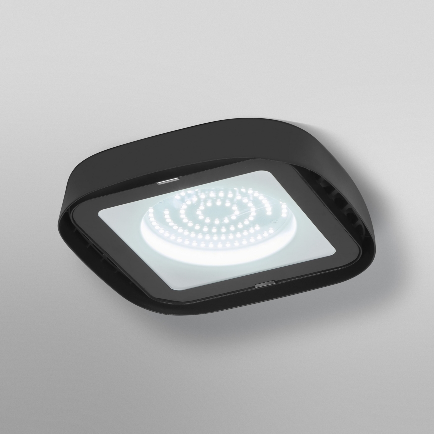 Ledvance - LED-Hochleistungs-Deckenleuchte HIGHBAY LED/80W/230V IP65 6500K