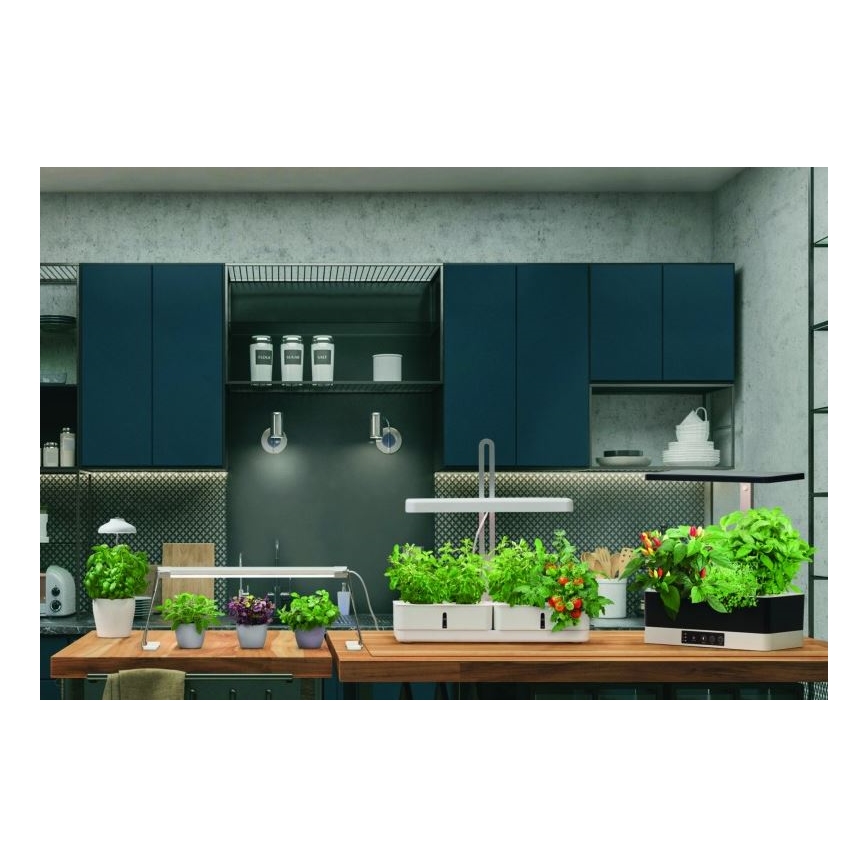 Ledvance - LED-Innenleuchte GARDEN LIGHT LED/14W/230V
