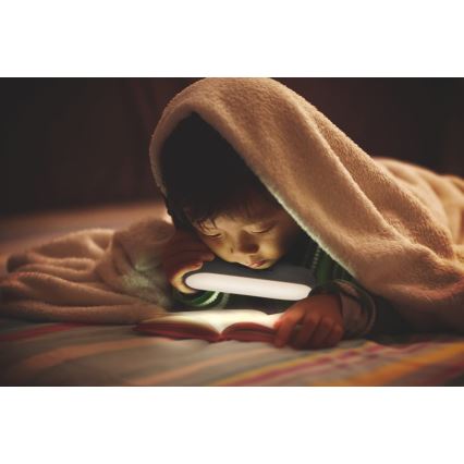 Ledvance - LED Möbelbeleuchtung mit Sensor MOBILE LED/1,2W/5V 500 mAh 4000K