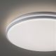 Leuchten Direkt 14209-16 - LED dimmbare Deckenleuchte COLIN LED/32,4W/230V