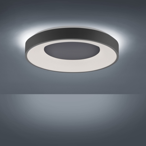 Leuchten Direkt 14326-18 - | LED-Dimmer-Deckenleuchte Beleuchtung LED/30W/230V + ANIKA Fernbedienung