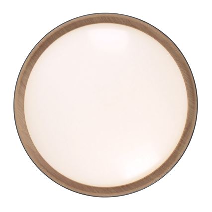 Leuchten Direkt 14347-18 - LED-Dimmleuchte EMILIA LED/28,8W/230V schwarz