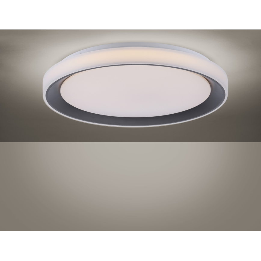 Leuchten Direkt 14659-18 - LED RGB Dimmbare Deckenleuchte LOLA LED/24W/230V Tuya + Fernbedienung