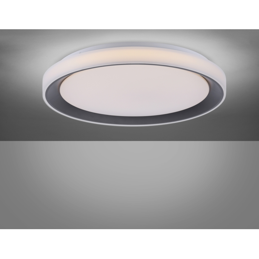 Leuchten Direkt 14659-18 - LED RGB Dimmbare Deckenleuchte LOLA LED/24W/230V Tuya + Fernbedienung