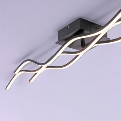 Leuchten Direkt 15167-18-LED Aufputz-Deckenleuchte WAWE 2xLED/12,5W/230V+LED/17W schwarz